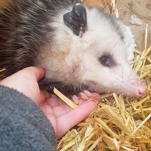 Meet your Posher, Jack